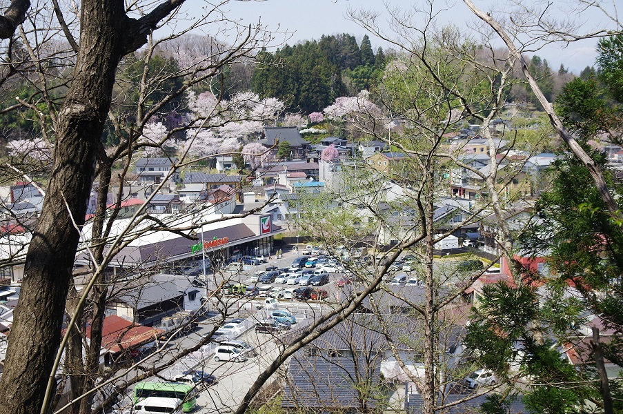 木々の間から中町方面の屋並みを見ることができます。